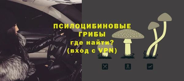 прущие грибы Баксан