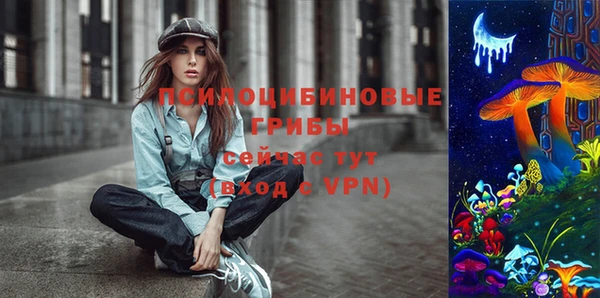 прущие грибы Баксан