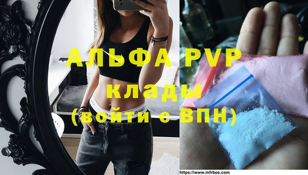 прущие грибы Баксан